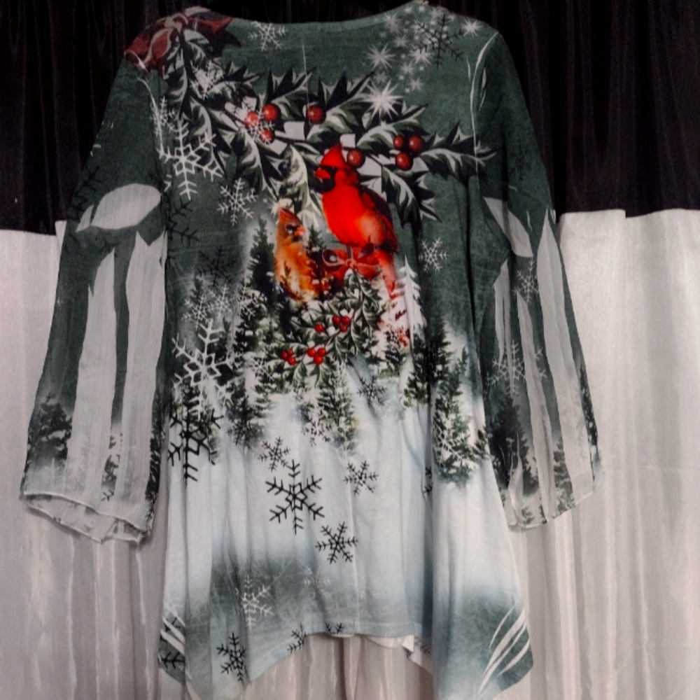 Gently used Cal Style brand Large Xmas high low top